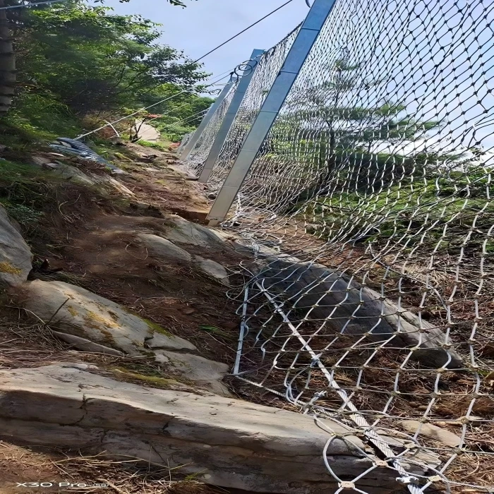 Passive Slope Protection Net